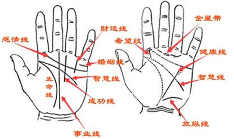 男手相分析